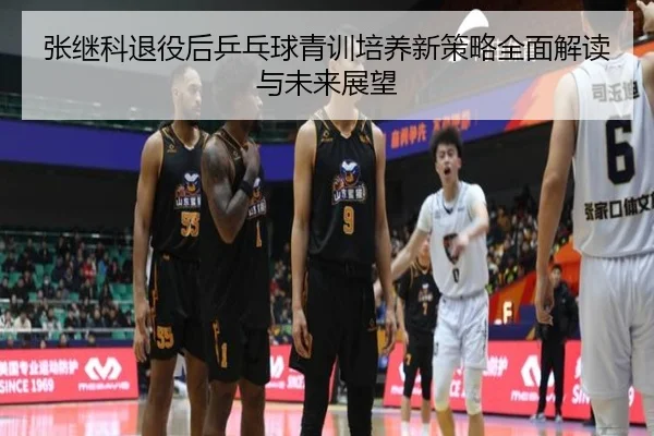张继科退役后乒乓球青训培养新策略全面解读与未来展望
